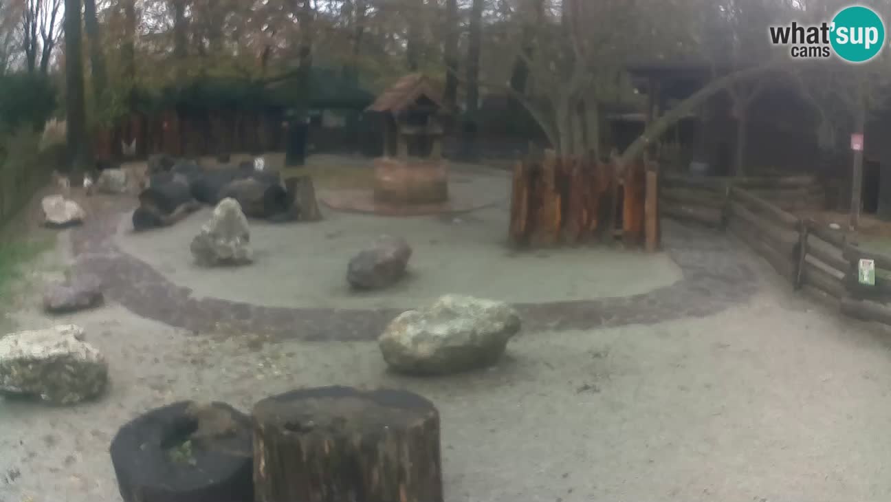 Zoo Zagreb – Cebo dai cornetti