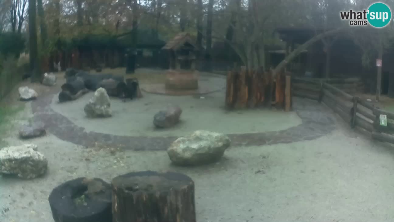 Zoo Zagreb – Cebo dai cornetti