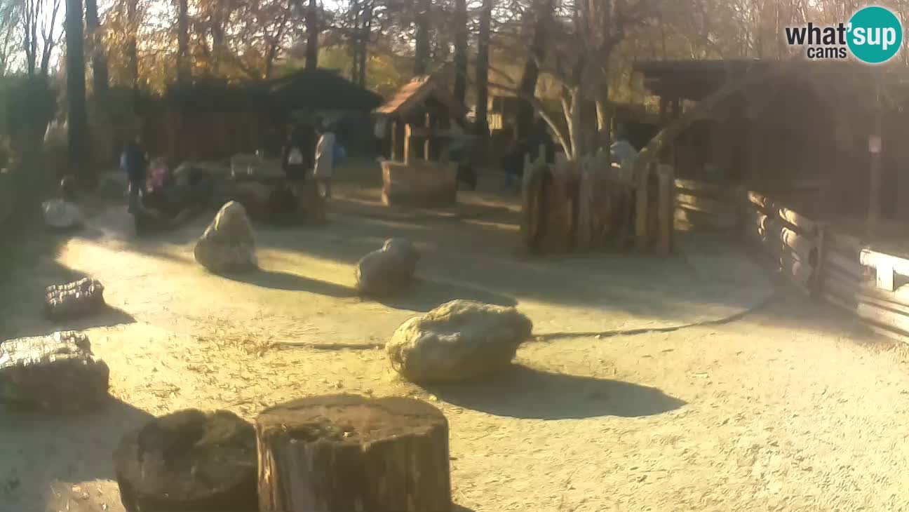 Zoo Zagreb – Haubenkapuziner