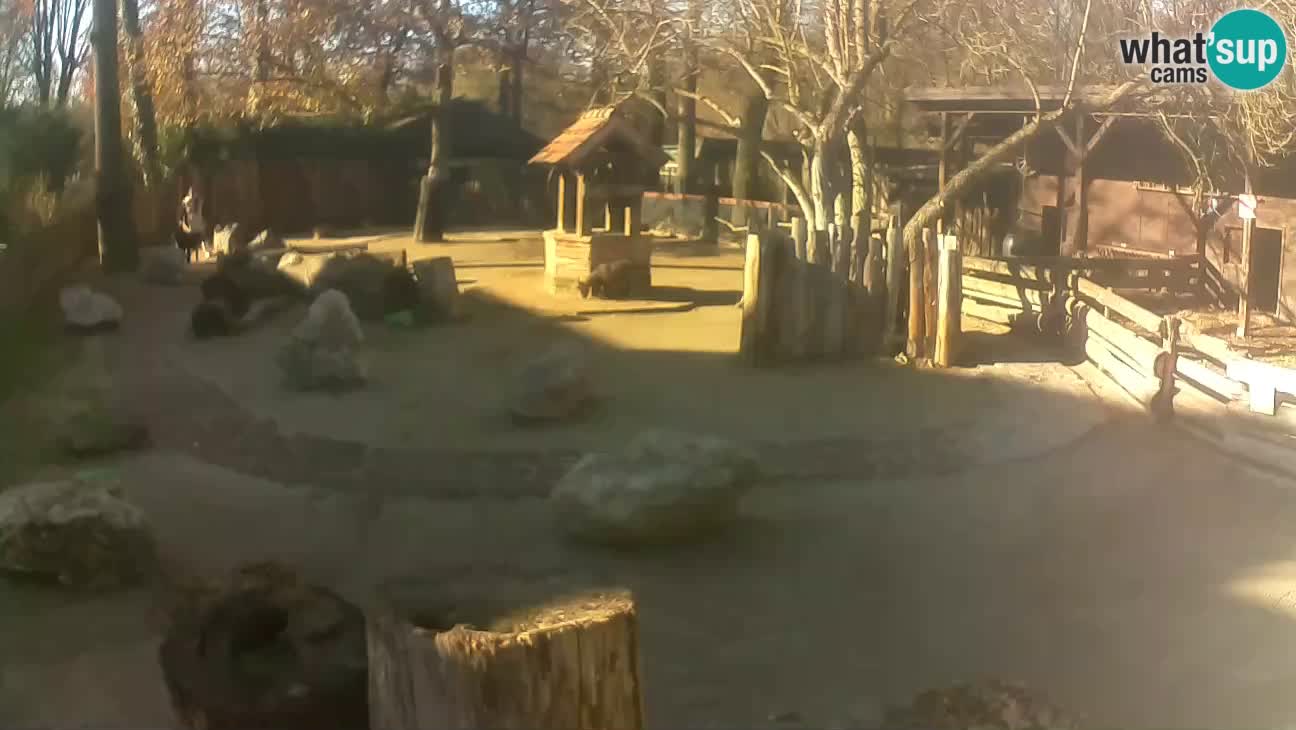 Zoo Zagreb –  Mono maicero