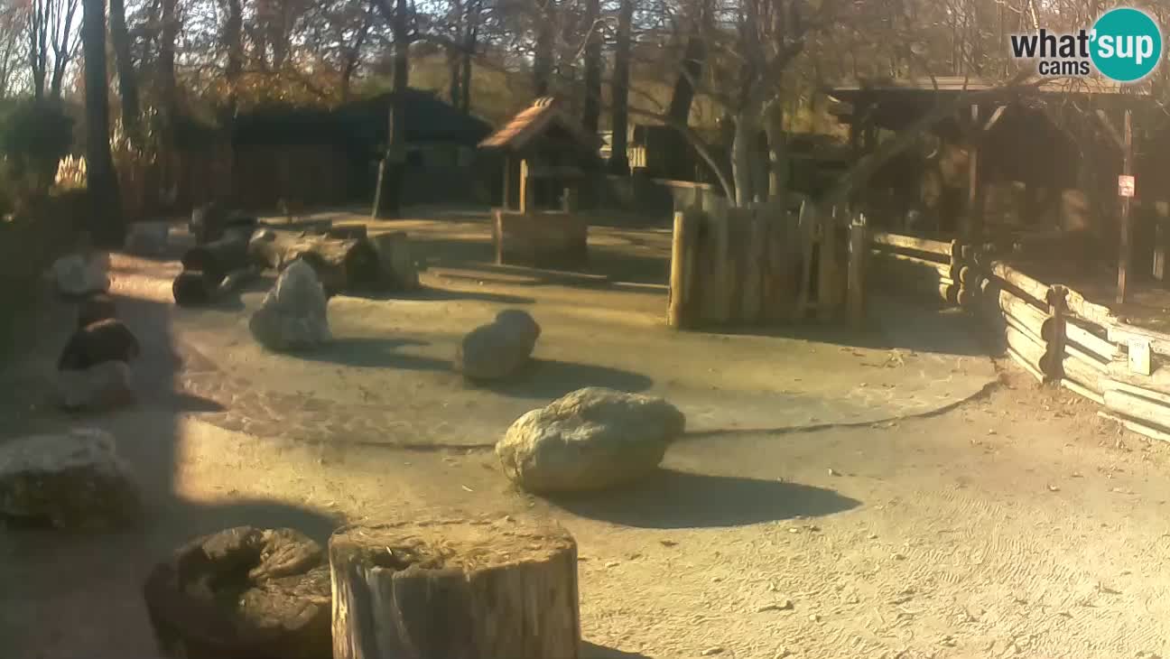 Zoo Zagreb –  Mono maicero