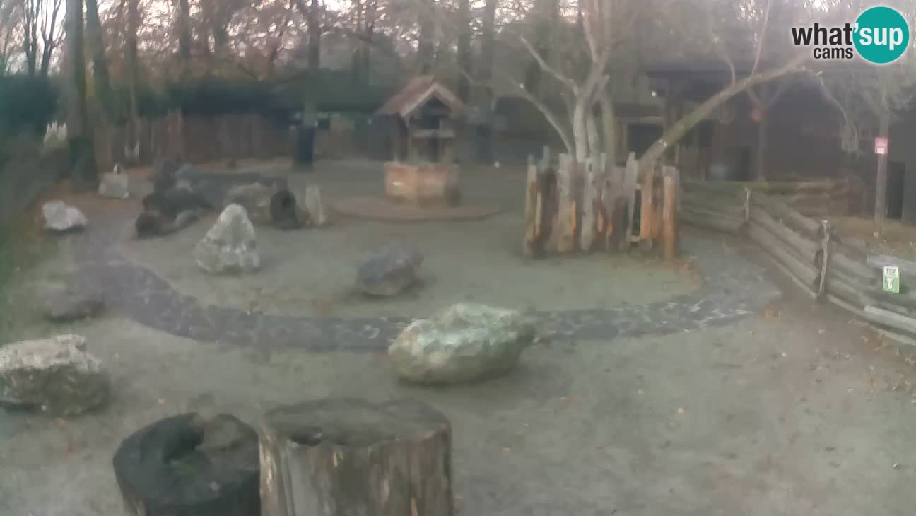 Zoo Zagreb –  Mono maicero