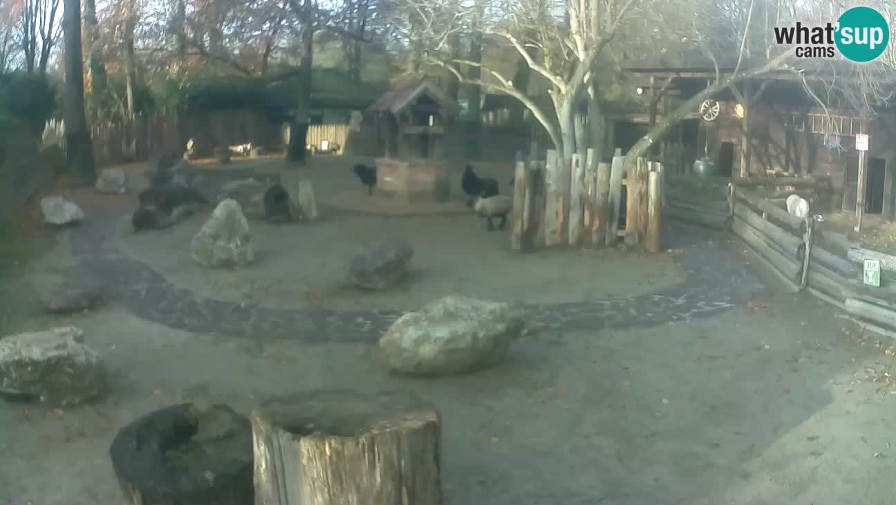 Zoo Zagreb – Cebo dai cornetti