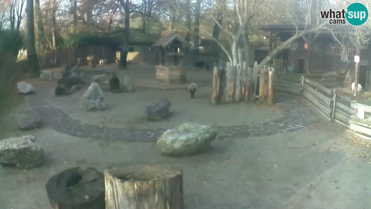 Zoo Zagreb –  Mono maicero