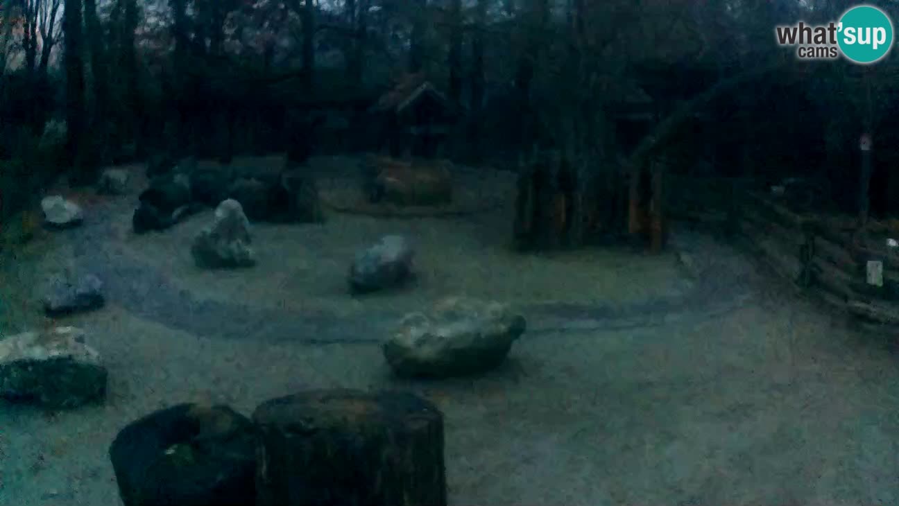 Zoo Zagreb – Cebo dai cornetti