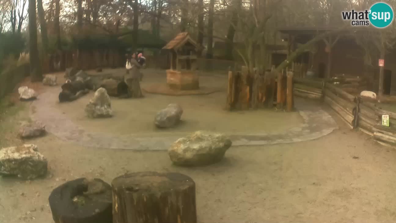 Zoo Zagreb –  Mono maicero