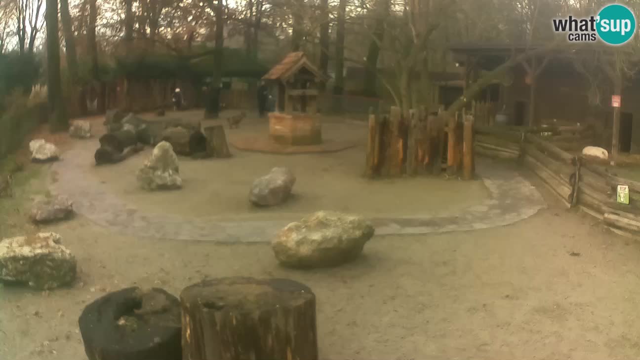 Zoo Zagreb –  Mono maicero