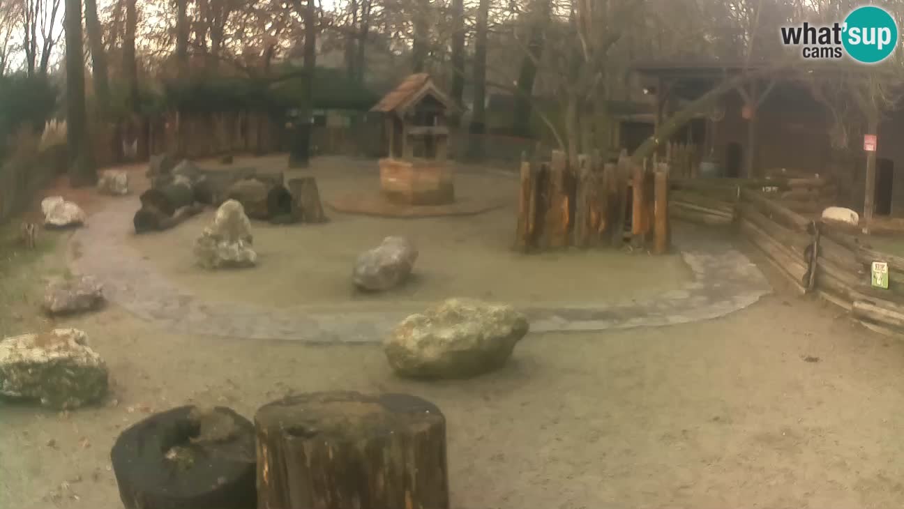 Zoo Zagreb – Haubenkapuziner