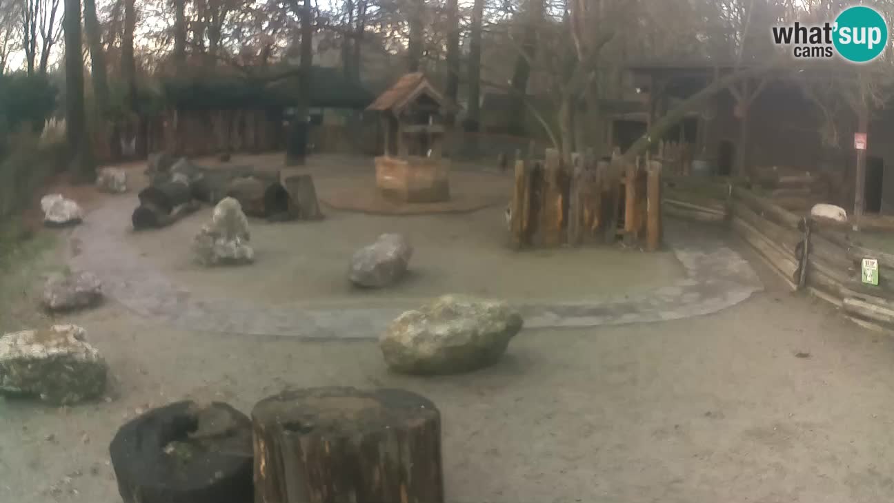 Zoo Zagreb –  Mono maicero