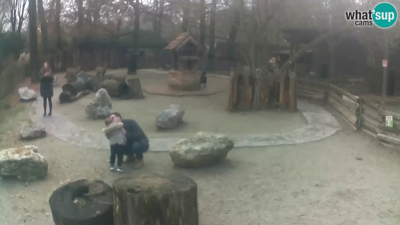 Zoo Zagreb –  Mono maicero