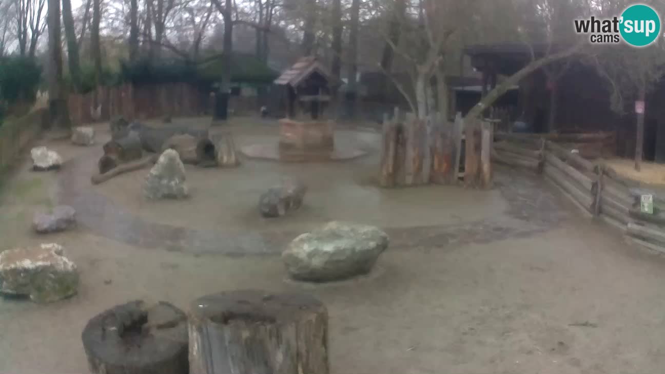 Zoo Zagreb –  Mono maicero