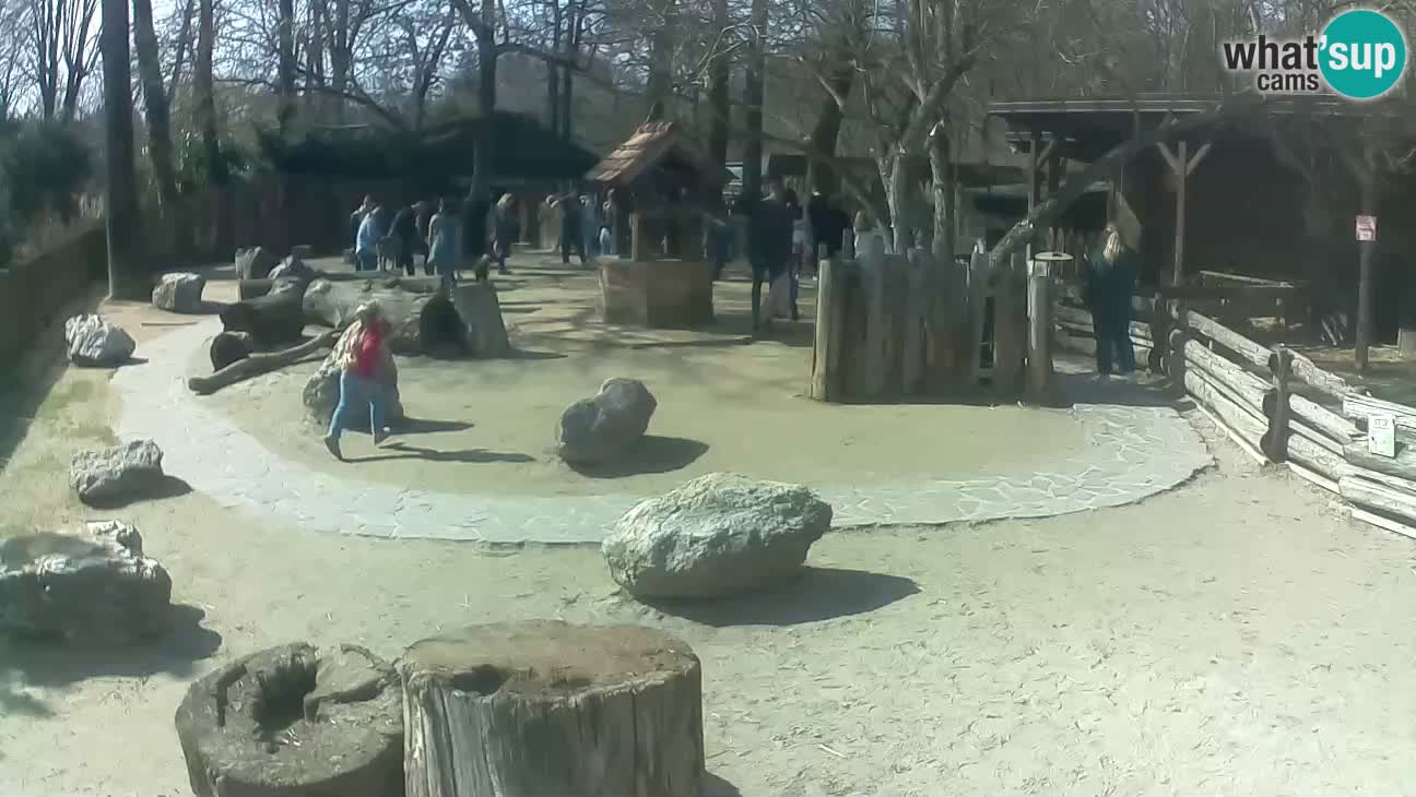 Zoo Zagreb – Haubenkapuziner