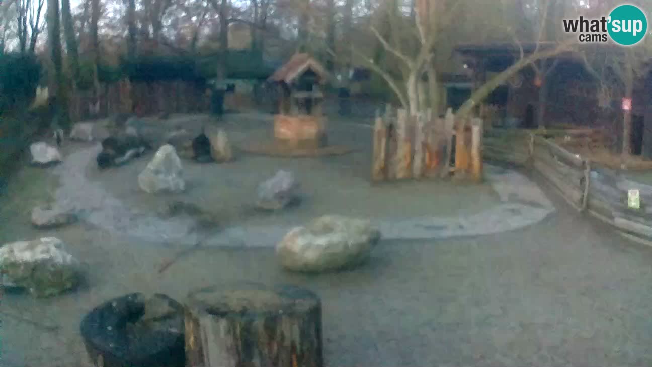 Zoo Zagreb –  Mono maicero