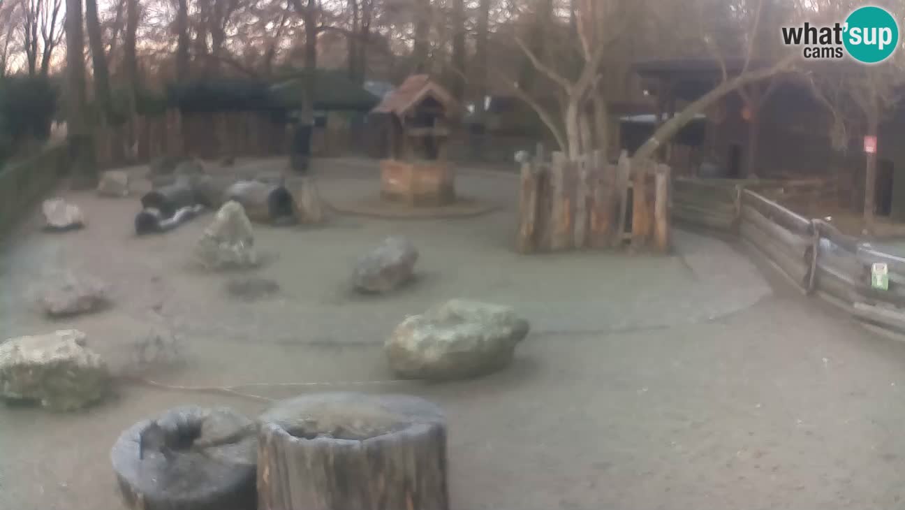 Zoo Zagreb –  Mono maicero