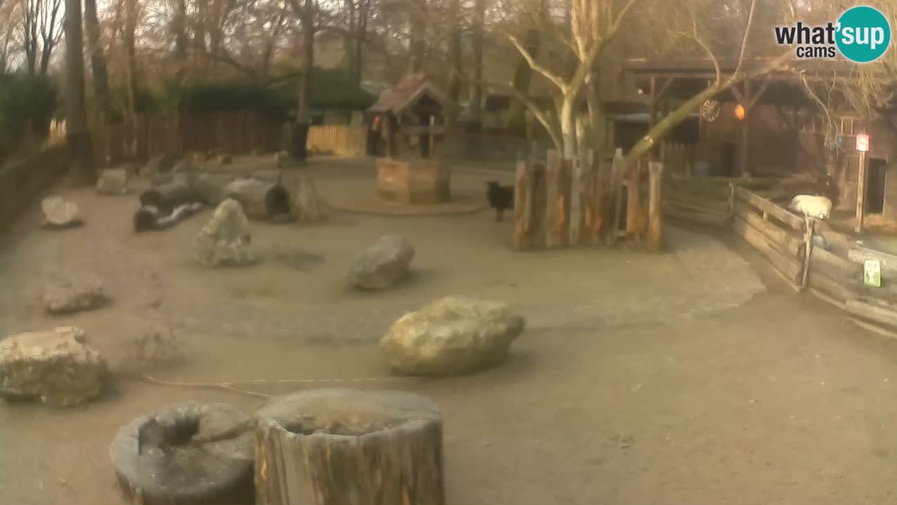 Zoo Zagreb – Cebo dai cornetti