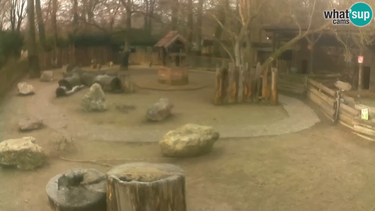 Zoo Zagreb – Cebo dai cornetti