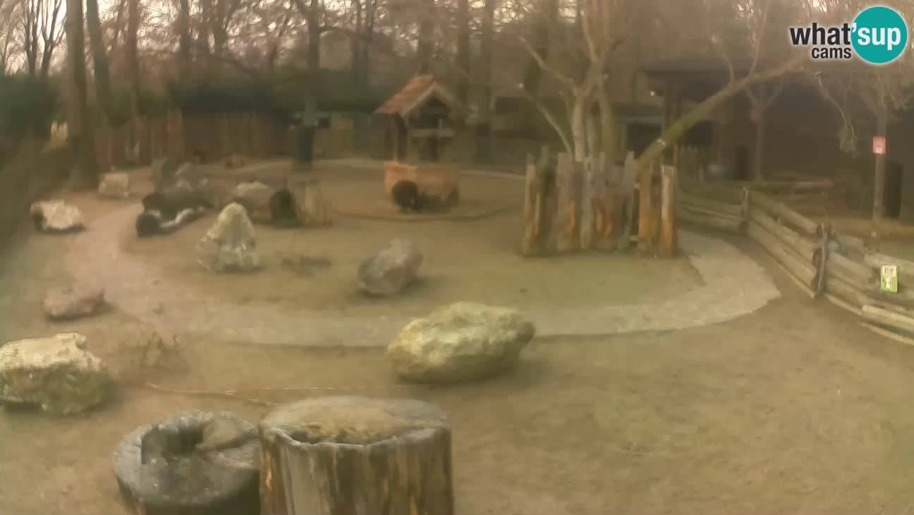 Zoo Zagreb – Cebo dai cornetti