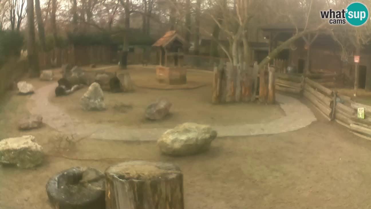 Zoo Zagreb – Cebo dai cornetti