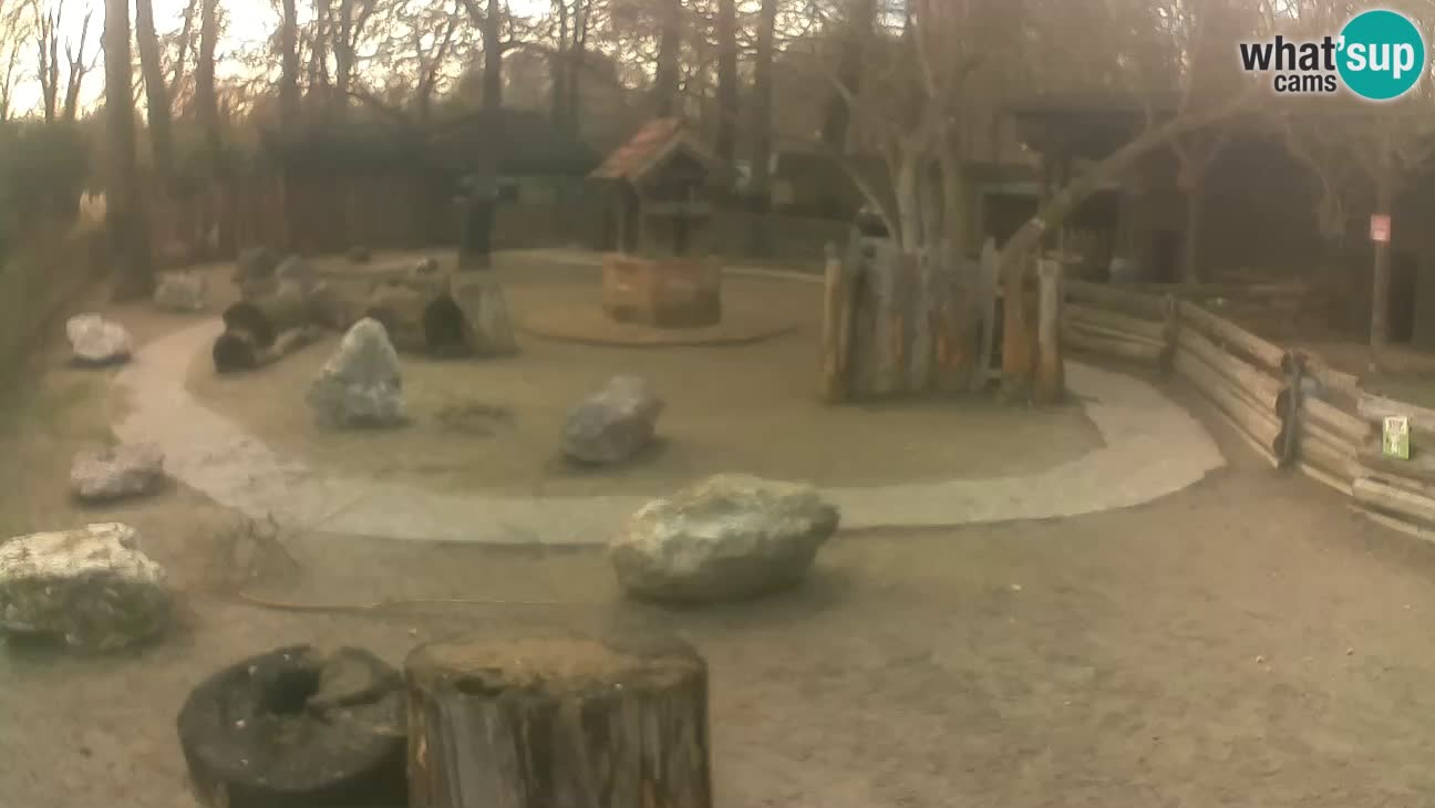 Zoo Zagreb – Cebo dai cornetti