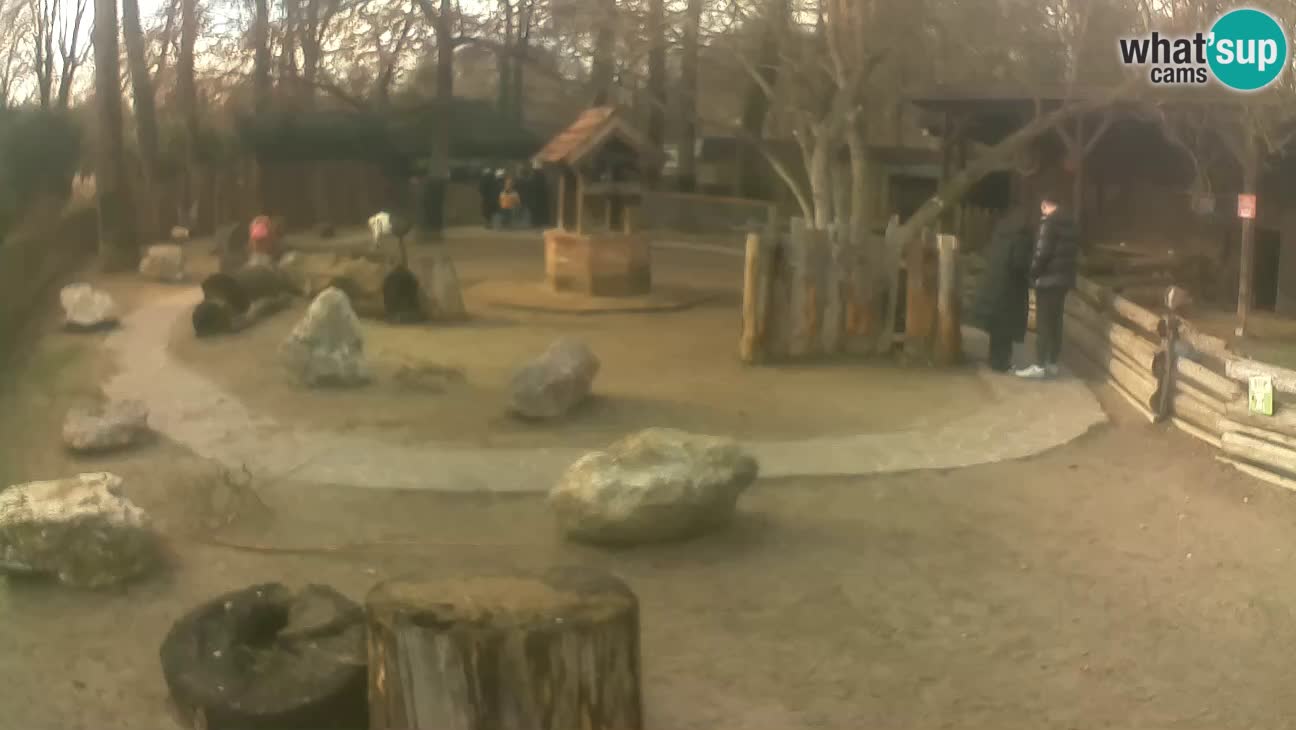 Zoo Zagreb – Haubenkapuziner