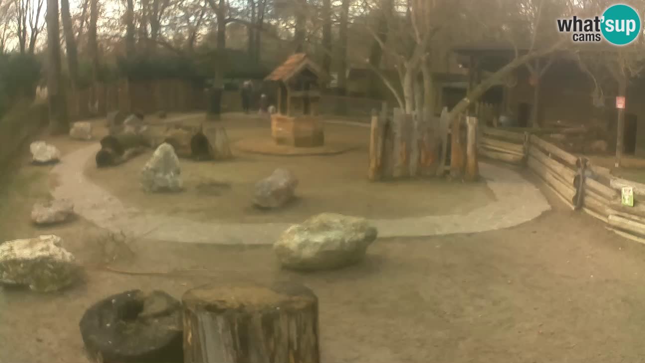 Zoo Zagreb – Cebo dai cornetti