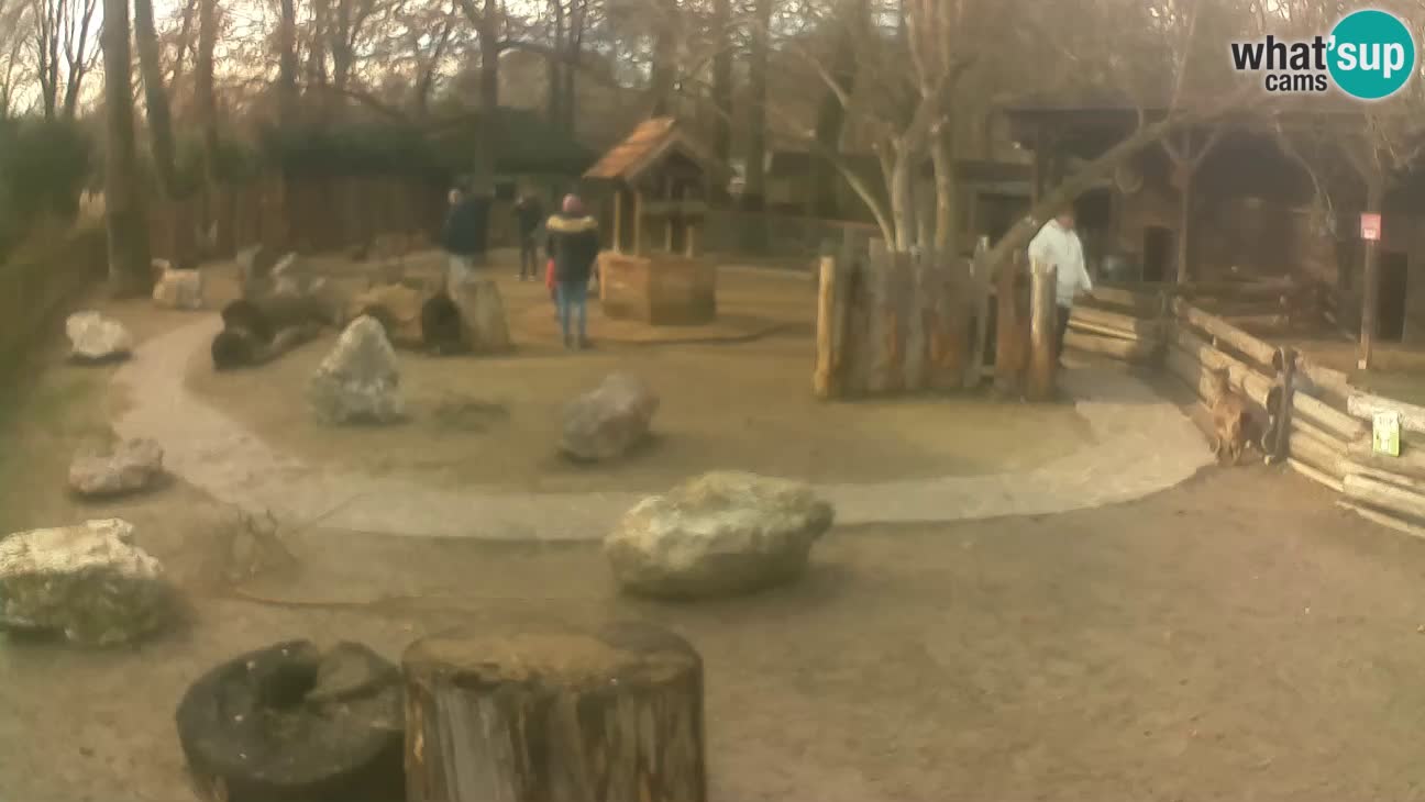 Zoo Zagreb – Haubenkapuziner