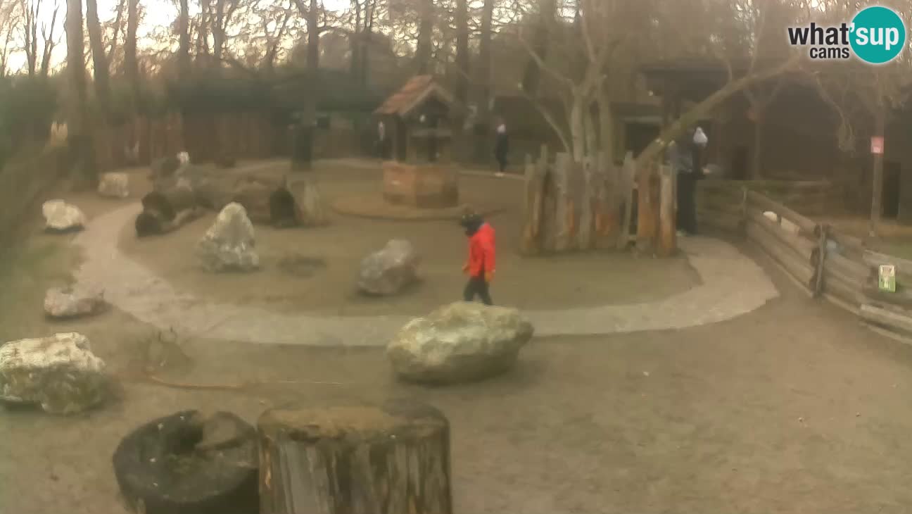 Zoo Zagreb – Haubenkapuziner