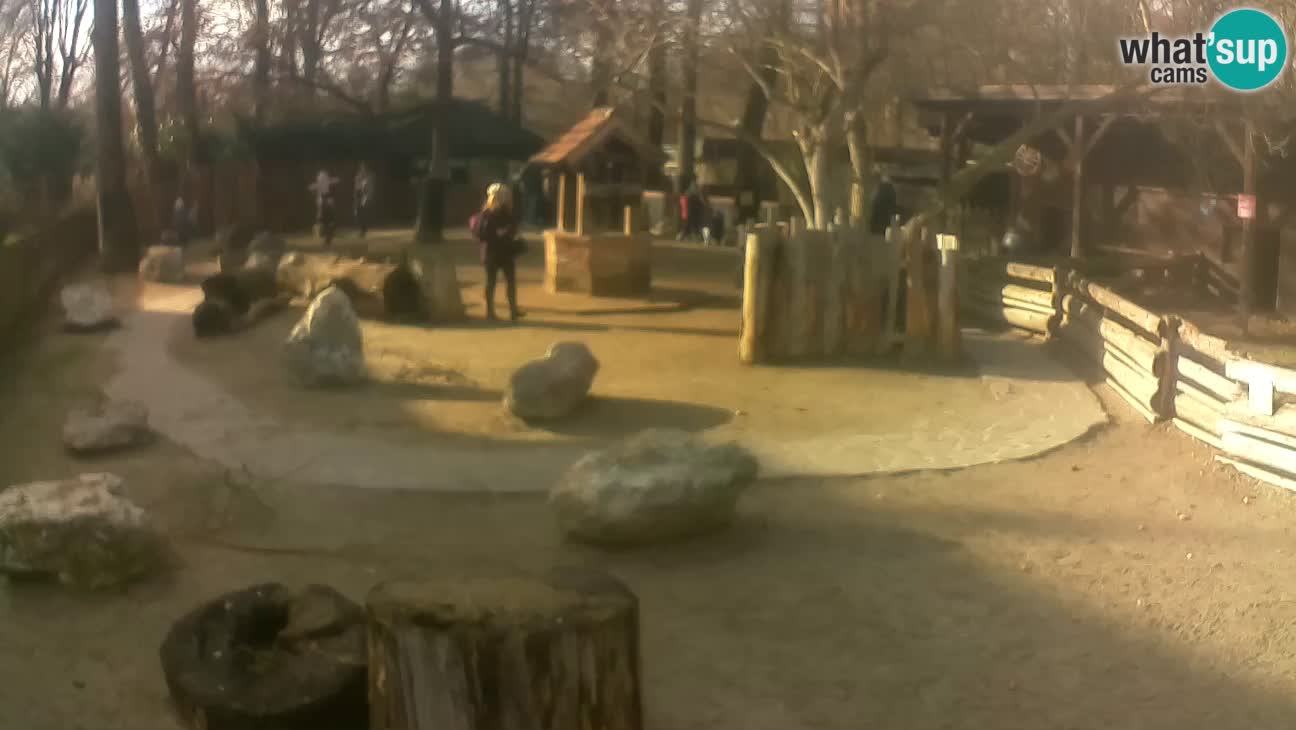 Zoo Zagreb –  Mono maicero