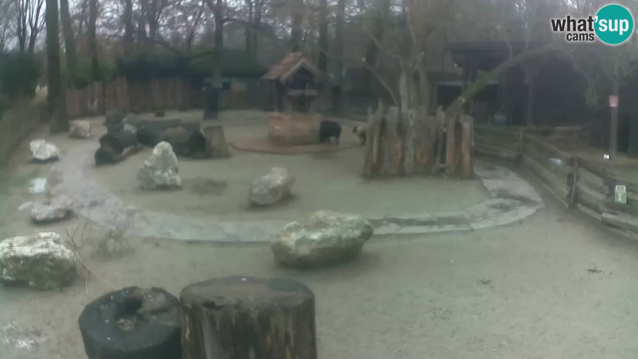 Zoo Zagreb – Haubenkapuziner