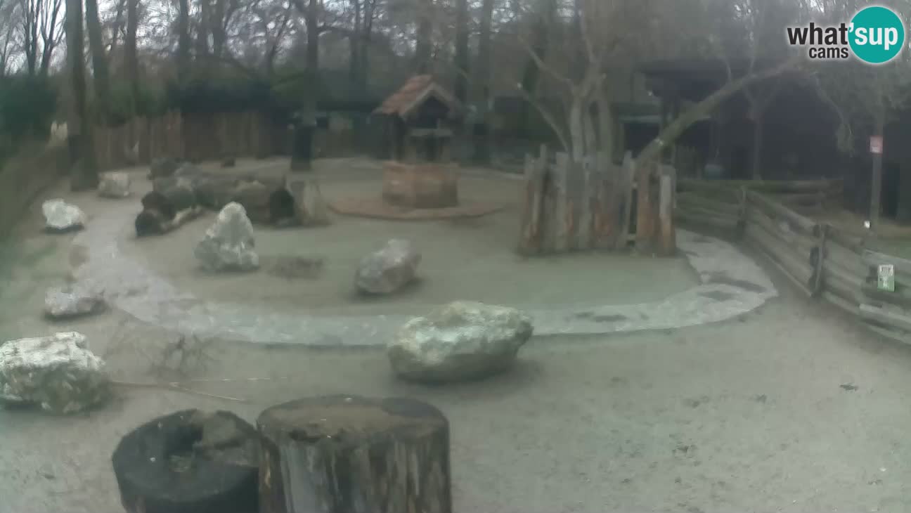 Zoo Zagreb –  Mono maicero