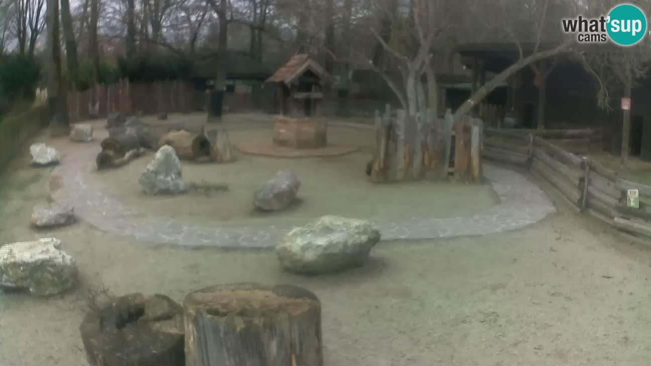 Zoo Zagreb – Cebo dai cornetti