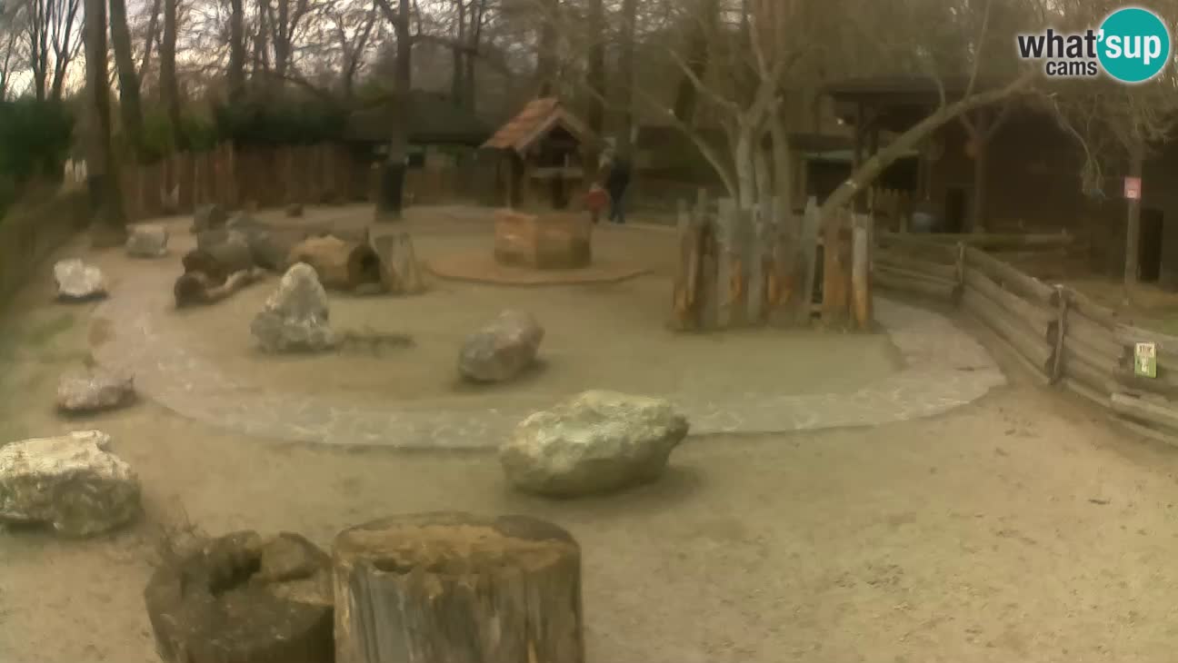 Zoo Zagreb – Cebo dai cornetti