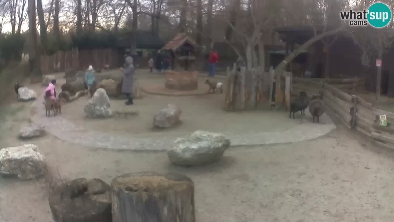 Zoo Zagreb – Cebo dai cornetti