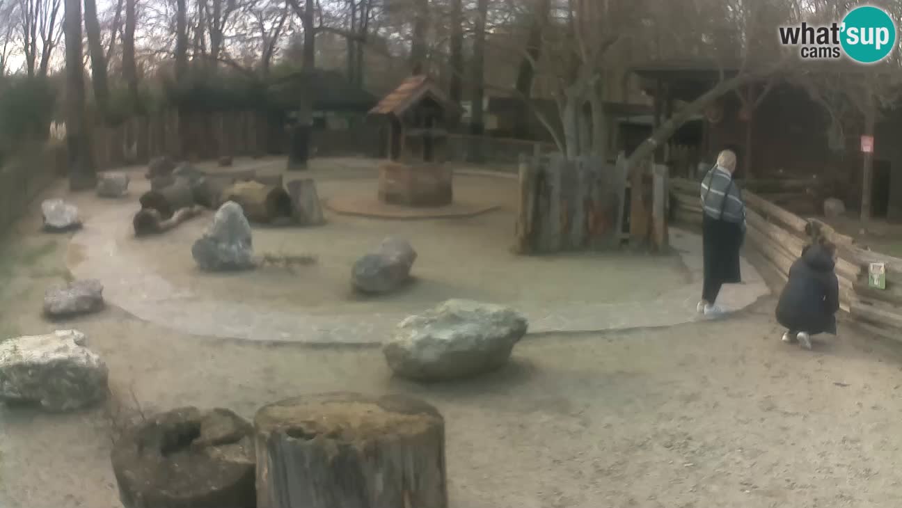 Zoo Zagreb – Haubenkapuziner