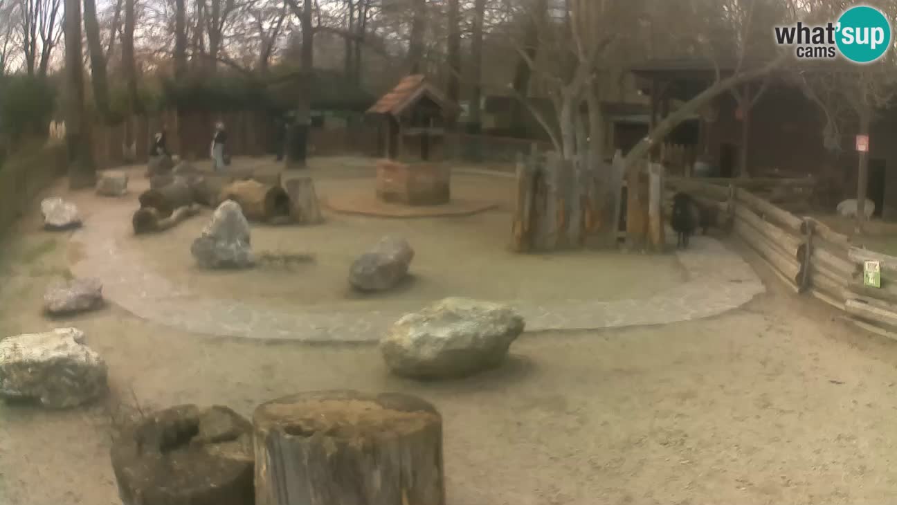 Zoo Zagreb – Cebo dai cornetti