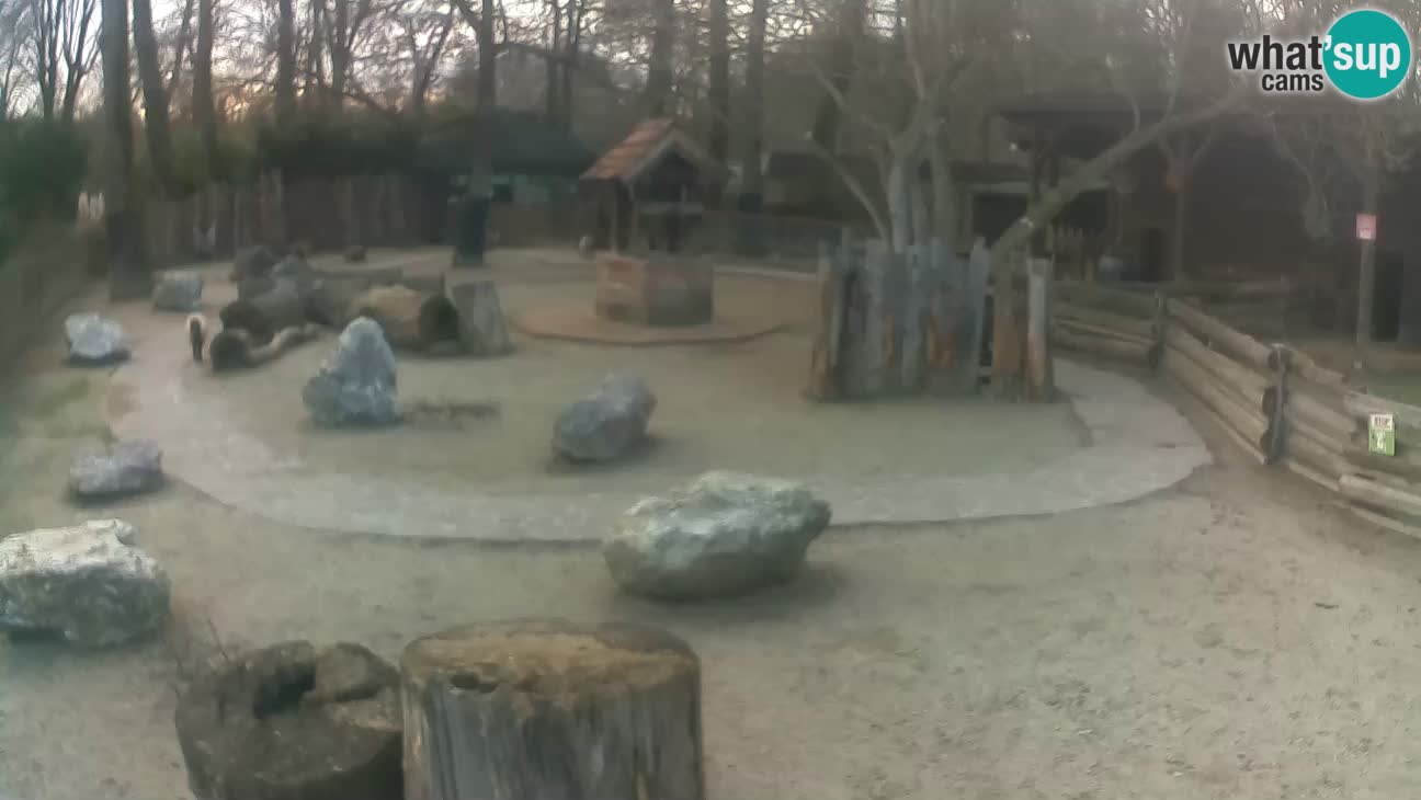 Zoo Zagreb –  Mono maicero