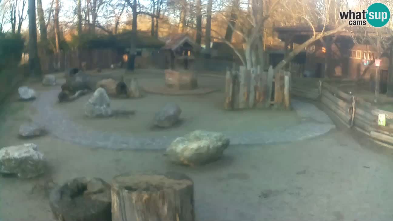 Zoo Zagreb – Haubenkapuziner