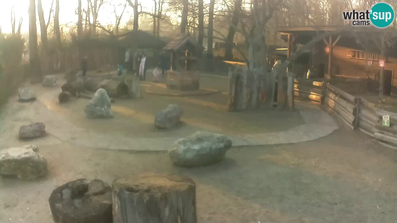 Zoo Zagreb – Cebus apella