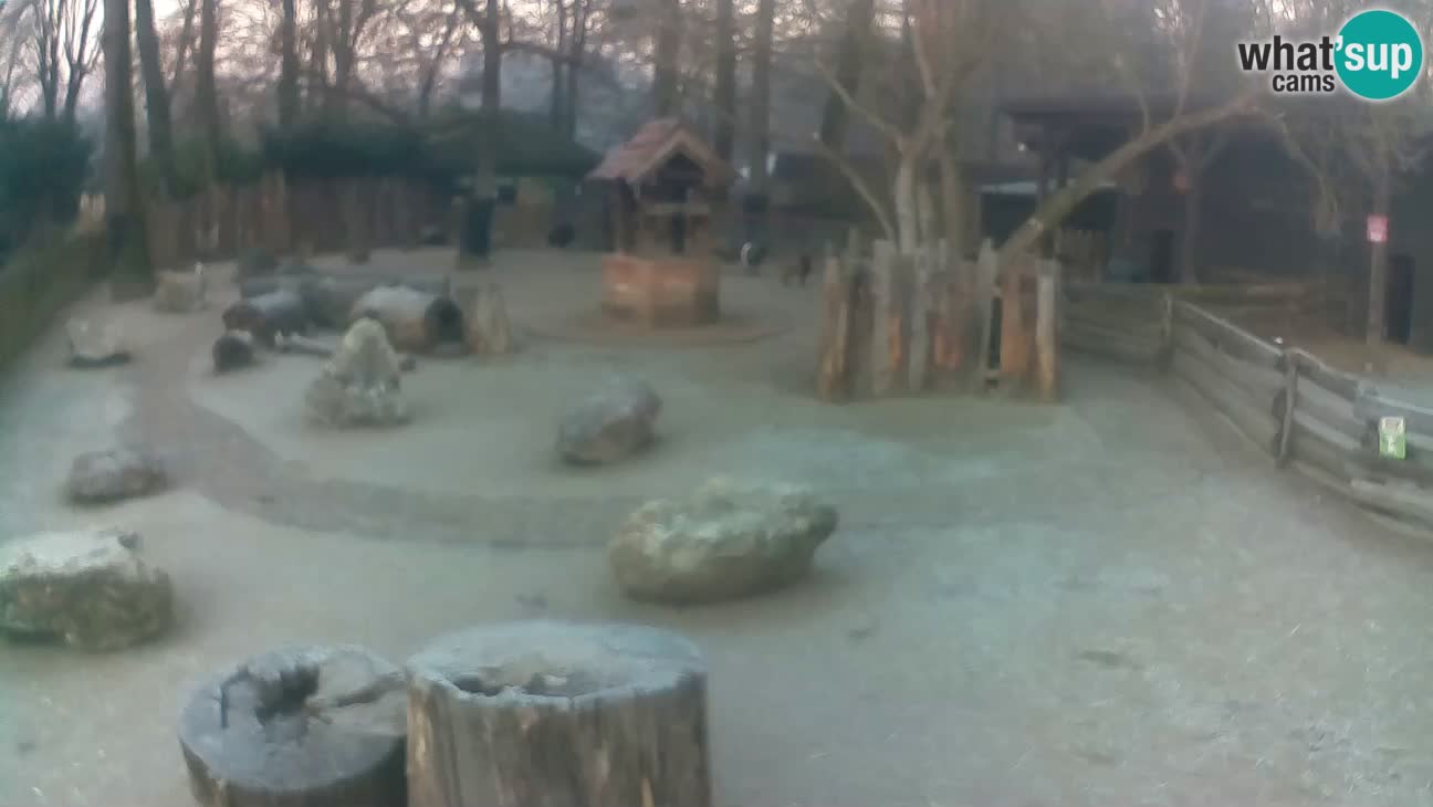 Zoo Zagreb – Cebo dai cornetti