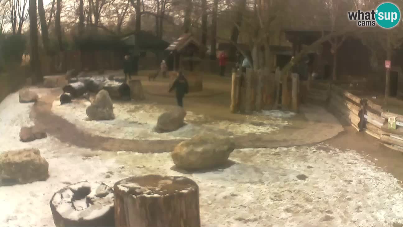 Zoo Zagreb –  Mono maicero