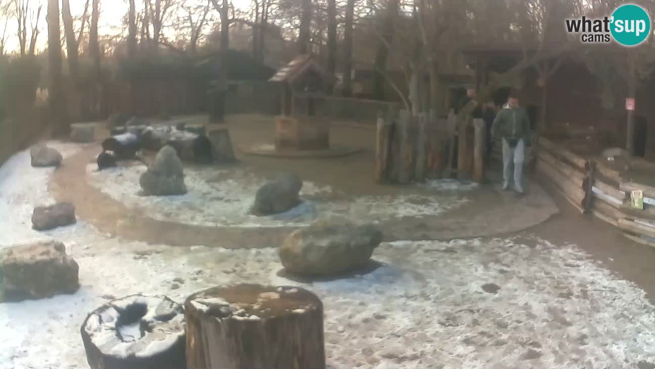 Zoo Zagreb – Cebo dai cornetti