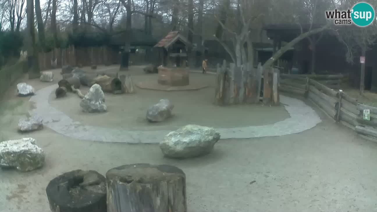 Zoo Zagreb –  Mono maicero