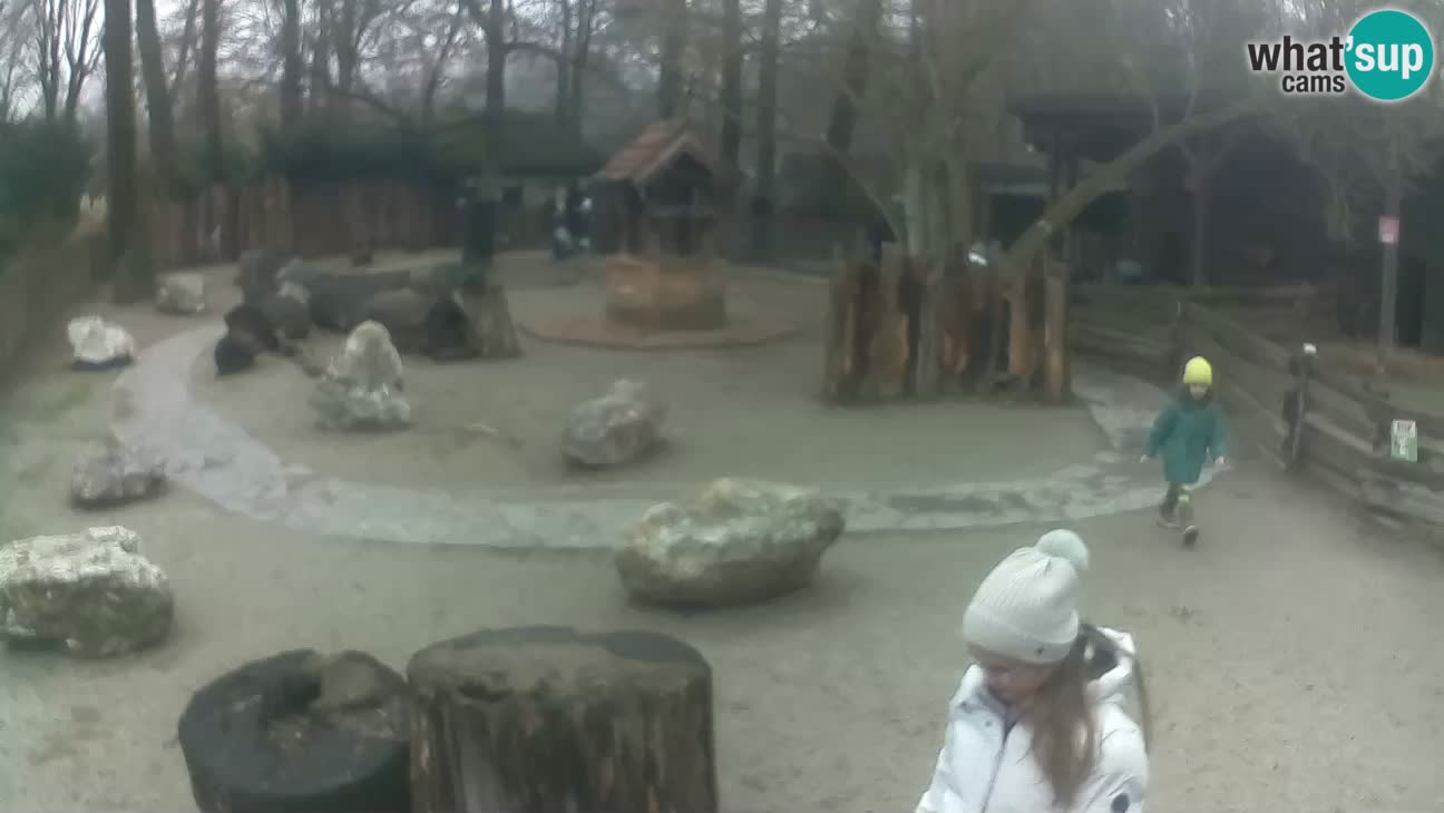 Zoo Zagreb – Cebo dai cornetti