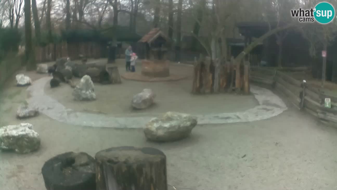 Zoo Zagreb –  Mono maicero