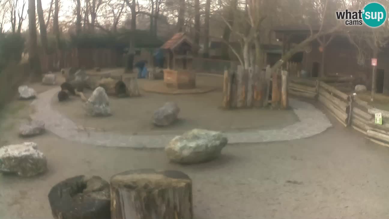 Zoo Zagreb – Cebo dai cornetti