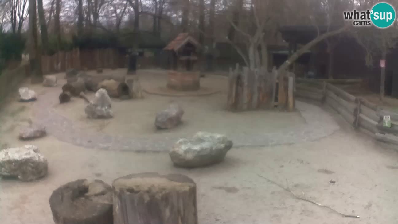 Zoo Zagreb – Cebo dai cornetti