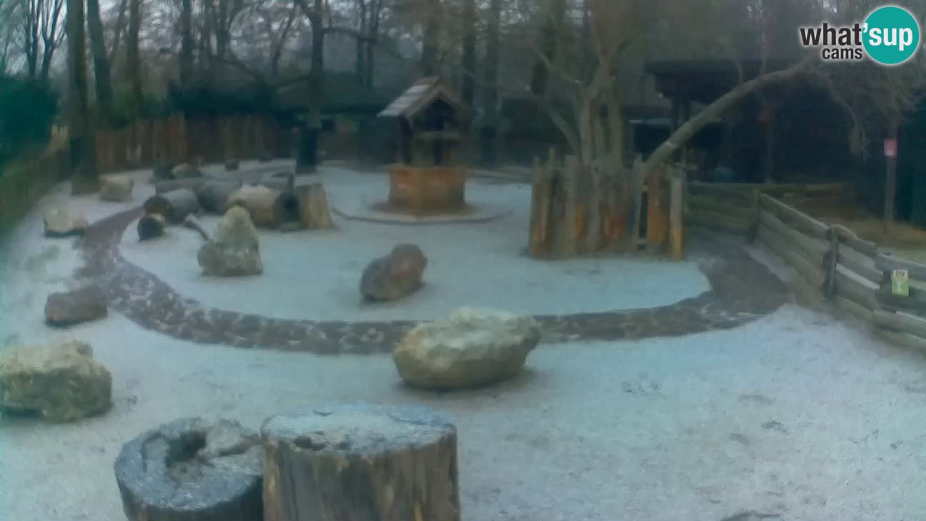 Zoo Zagreb –  Mono maicero