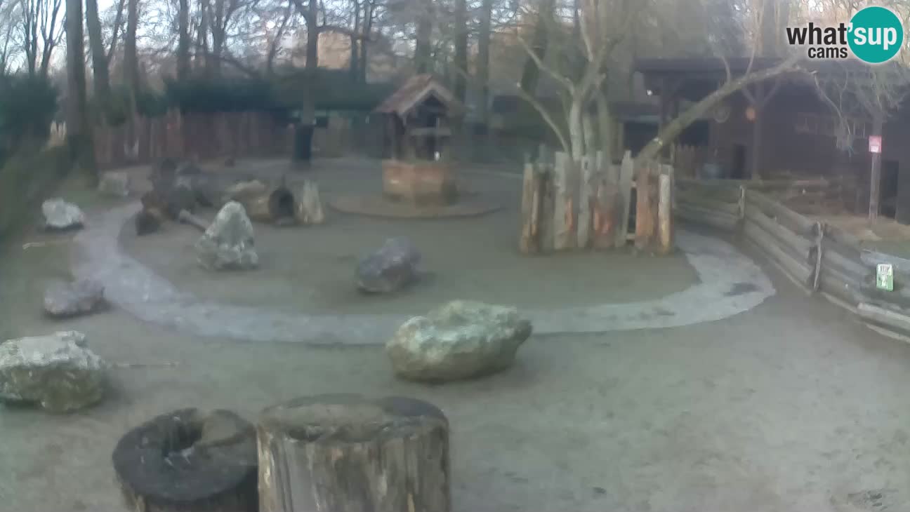 Zoo Zagreb – Rjava kapucinka