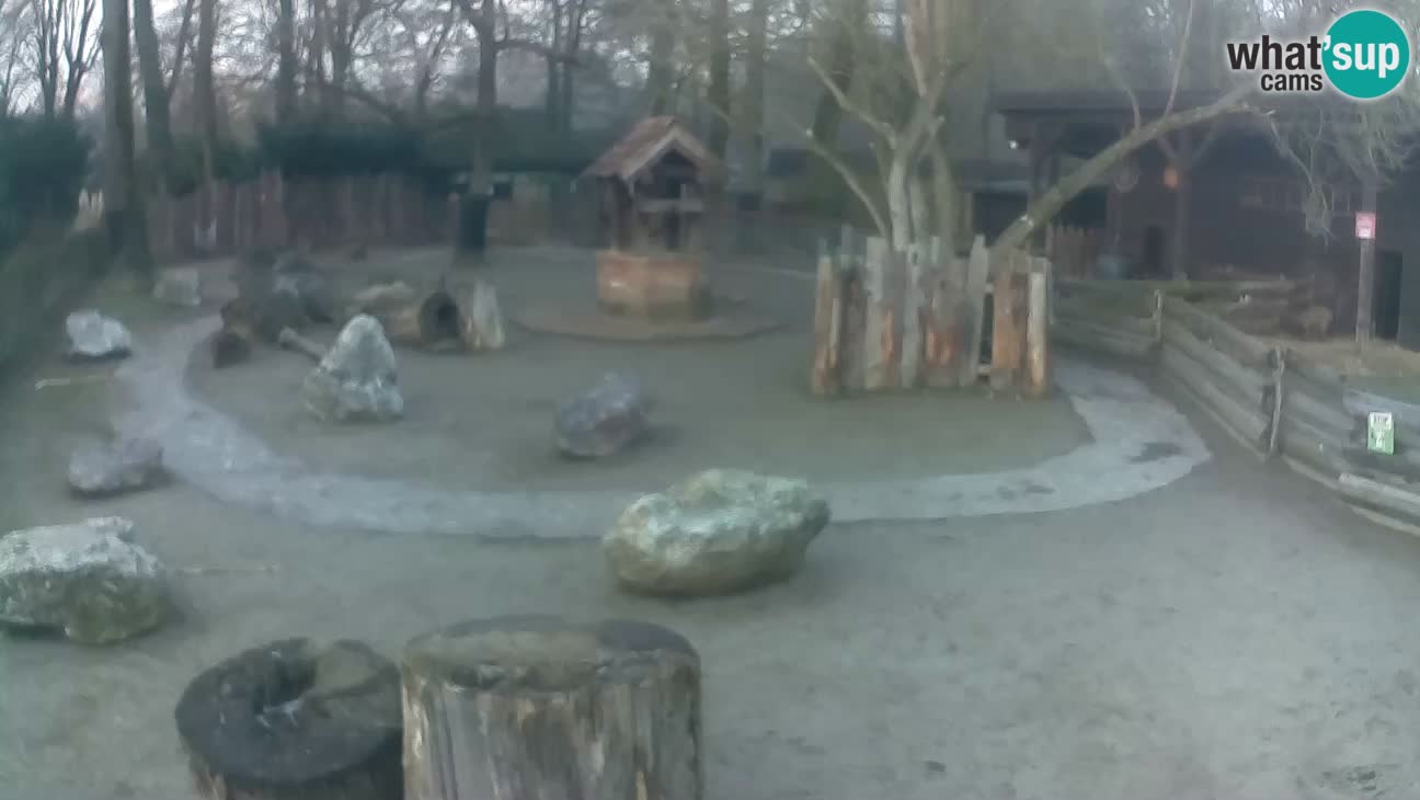 Zoo Zagreb – Cebo dai cornetti