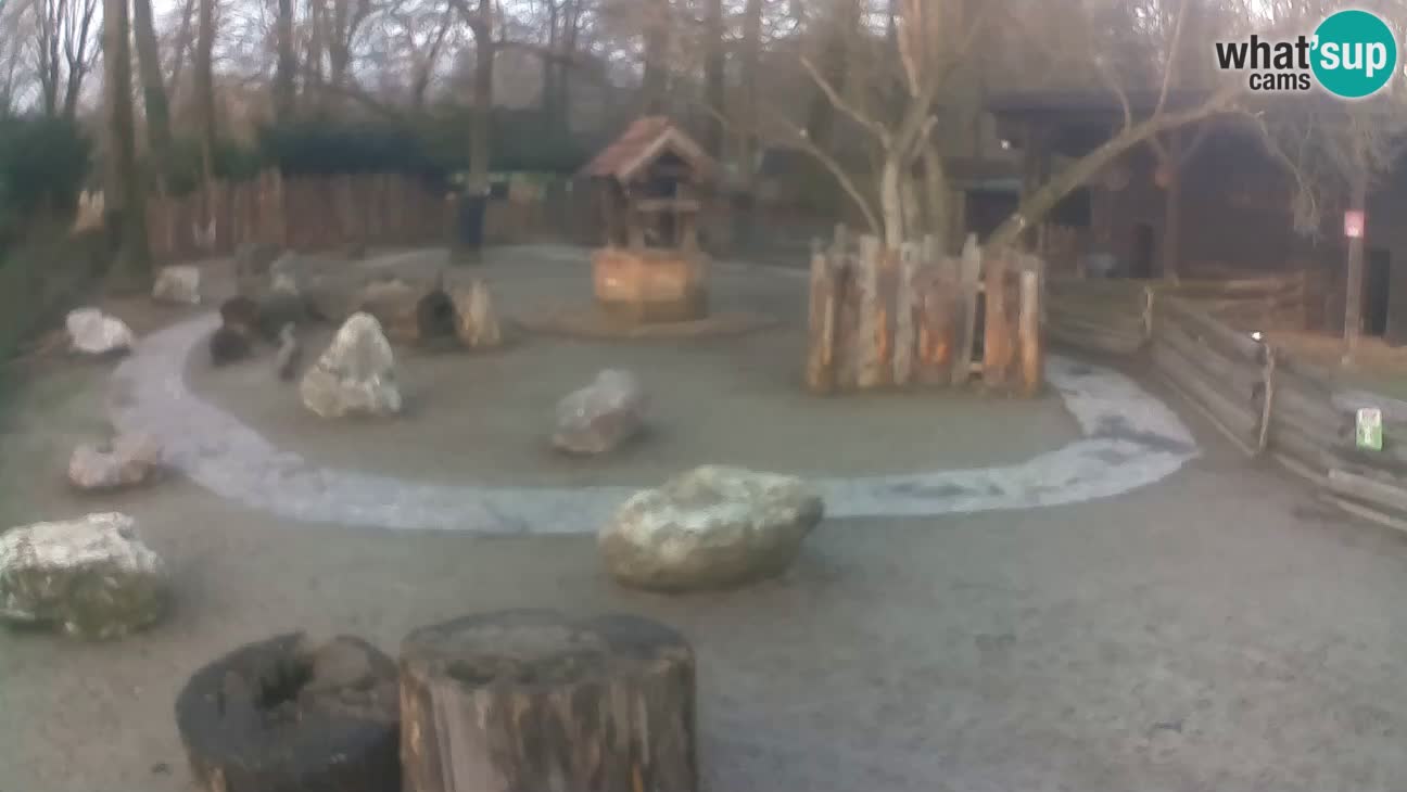 Zoo Zagreb –  Mono maicero